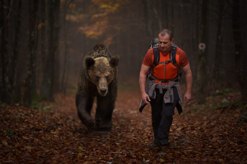 Man Versus Bear: Women's Traumas, Shattered Trust & Why The Bear Wins