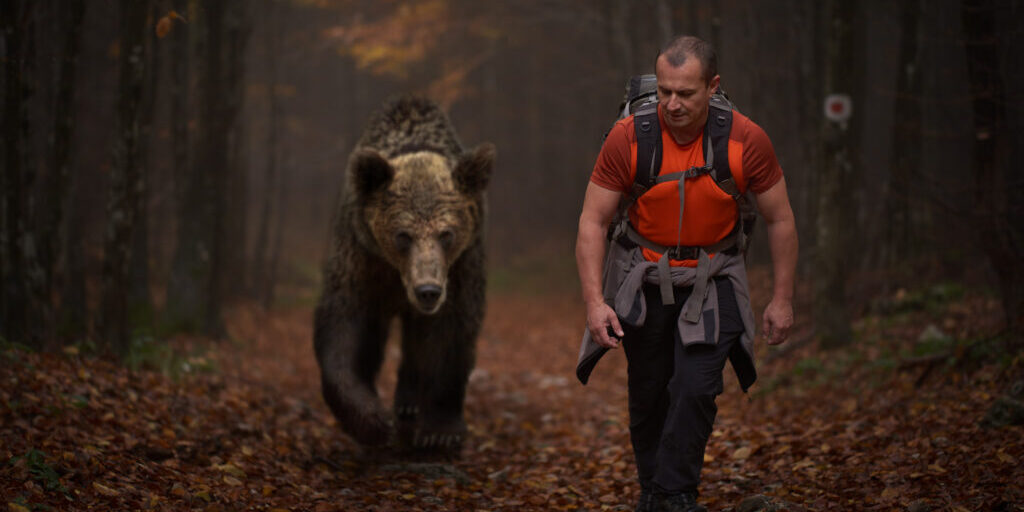 Man Versus Bear: Women's Traumas, Shattered Trust & Why The Bear Wins